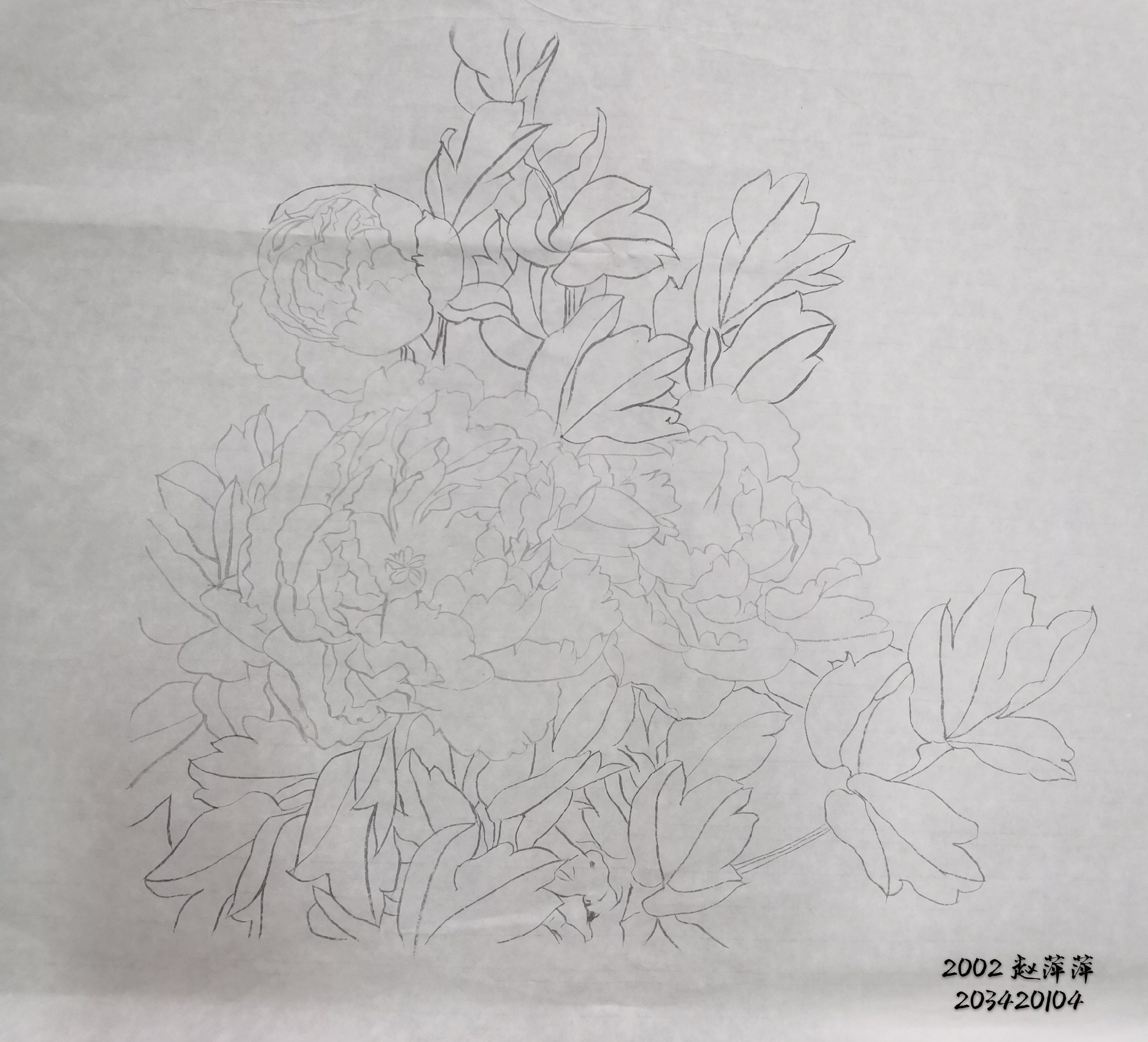 203420104赵萍萍