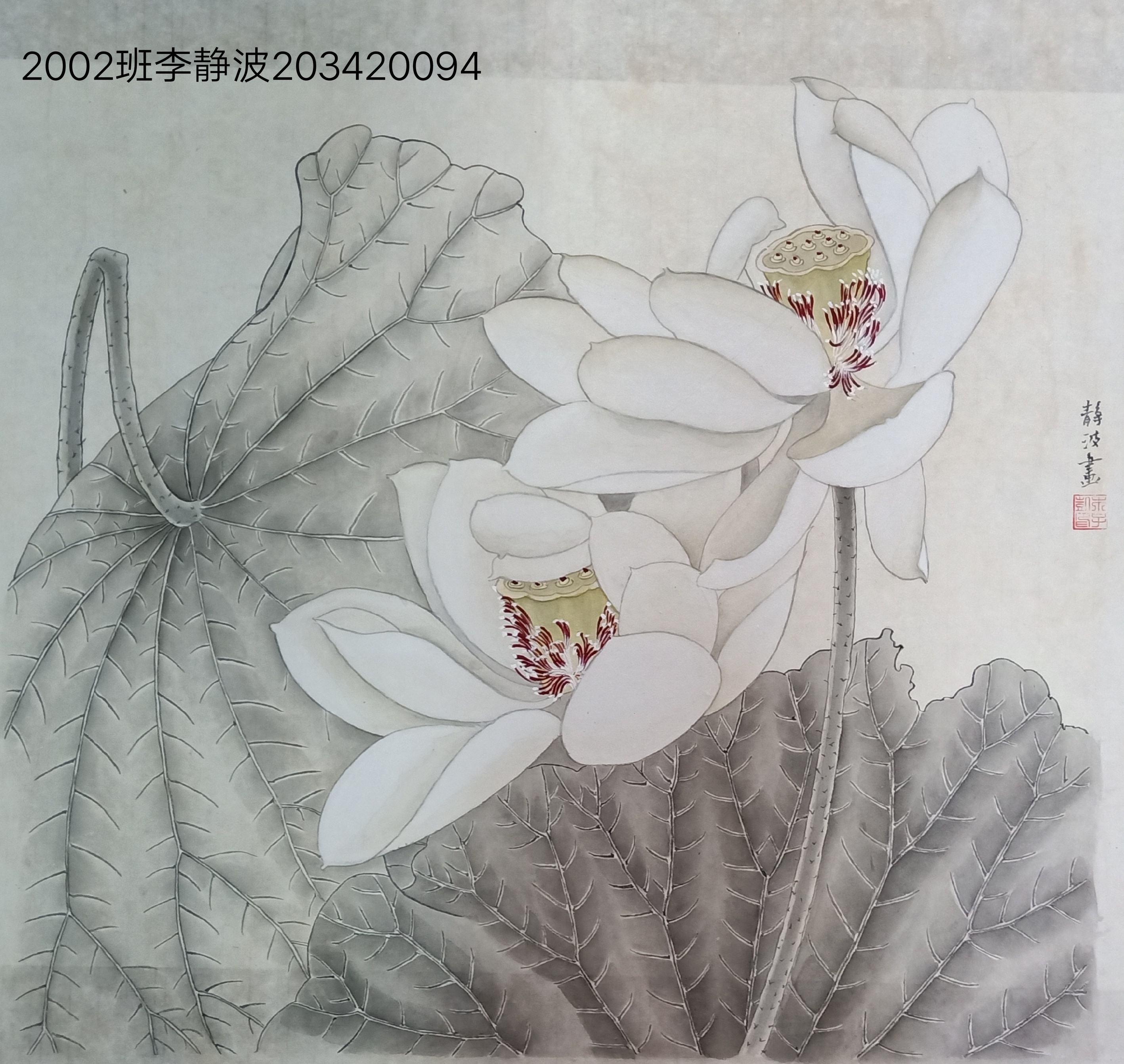 203420094李静波