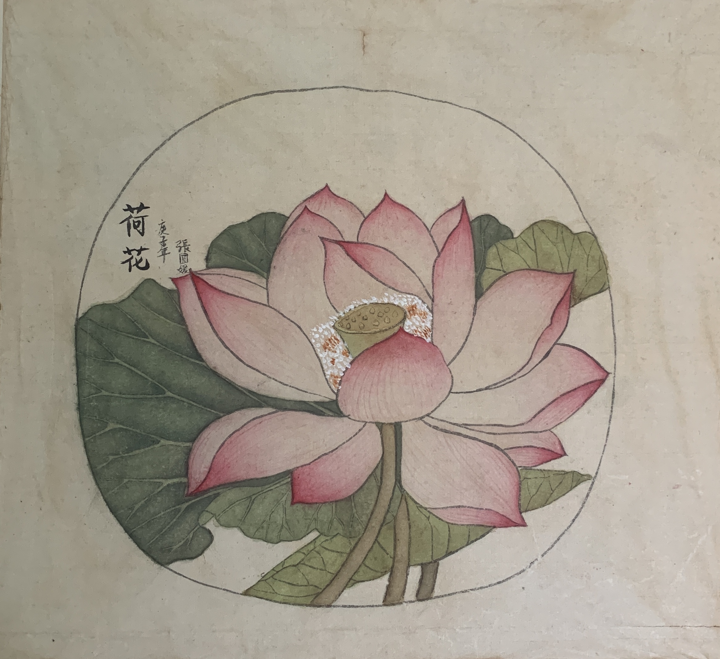 203420055张圆媛