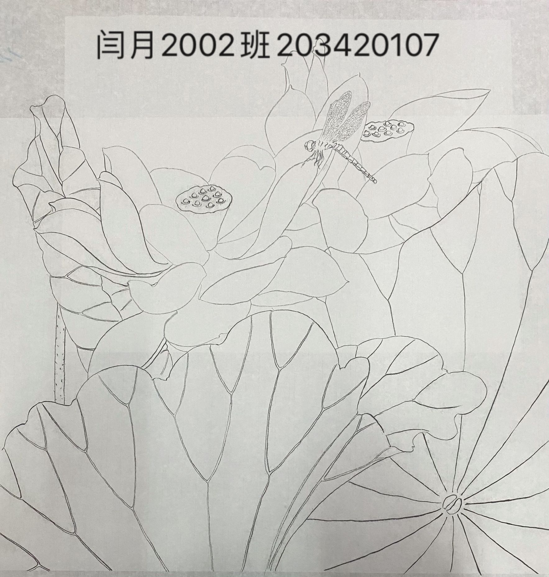 203420107闫月