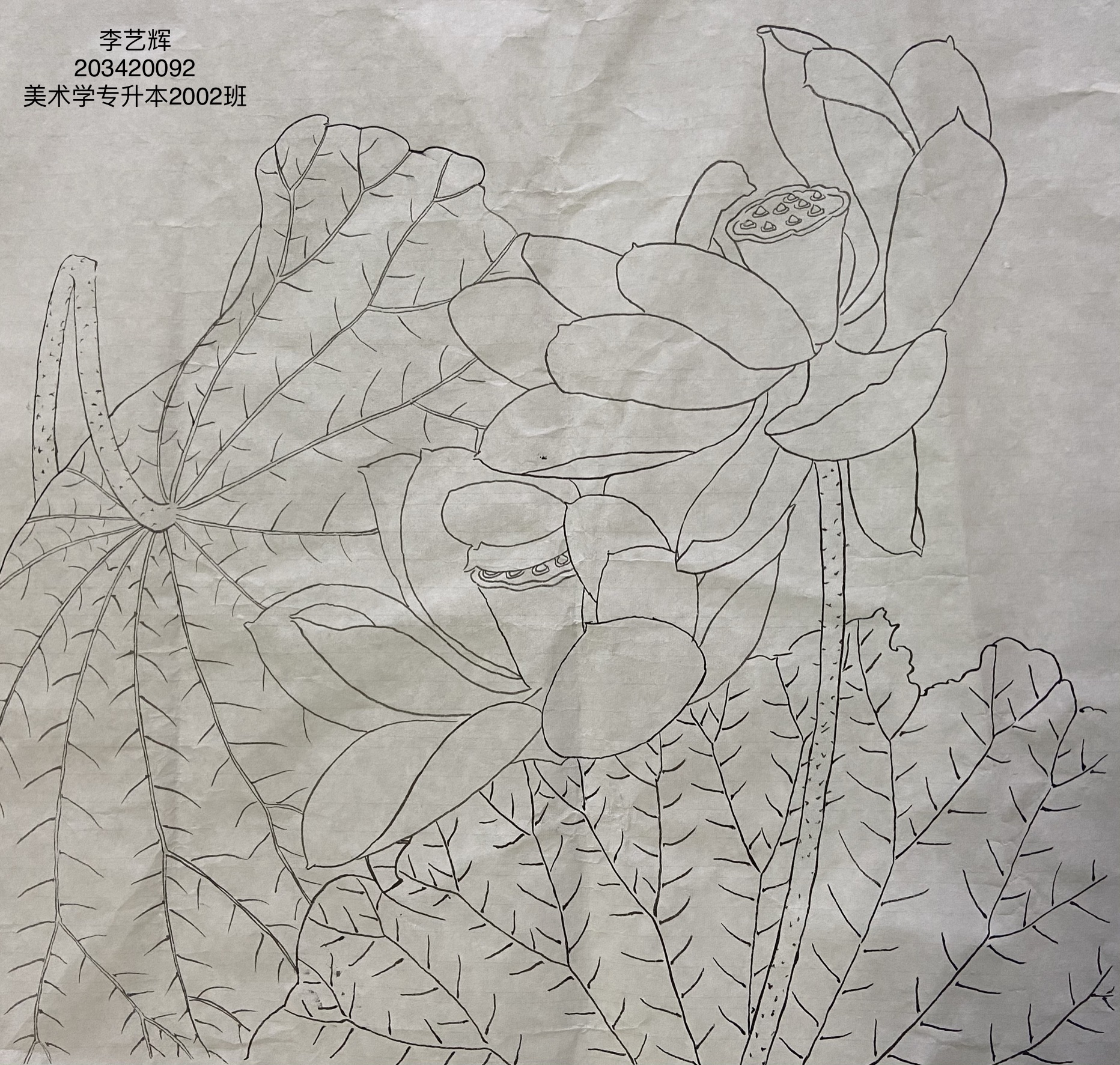 203420092 李艺辉