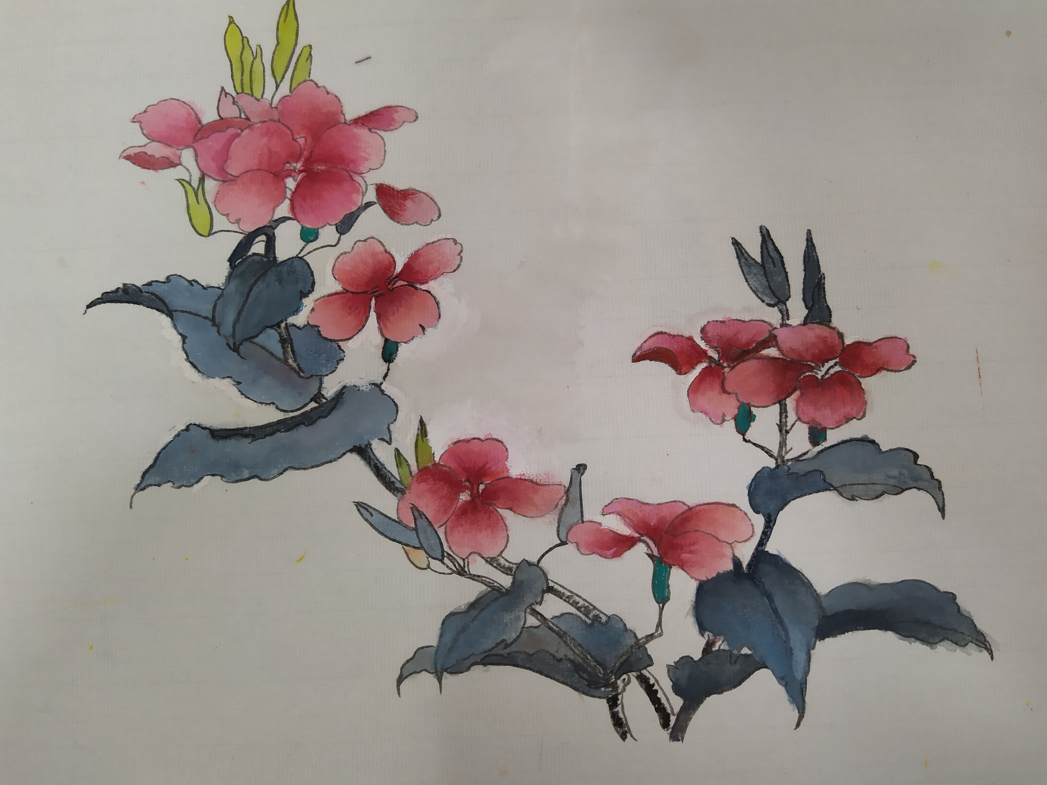 203420075陈可聪
