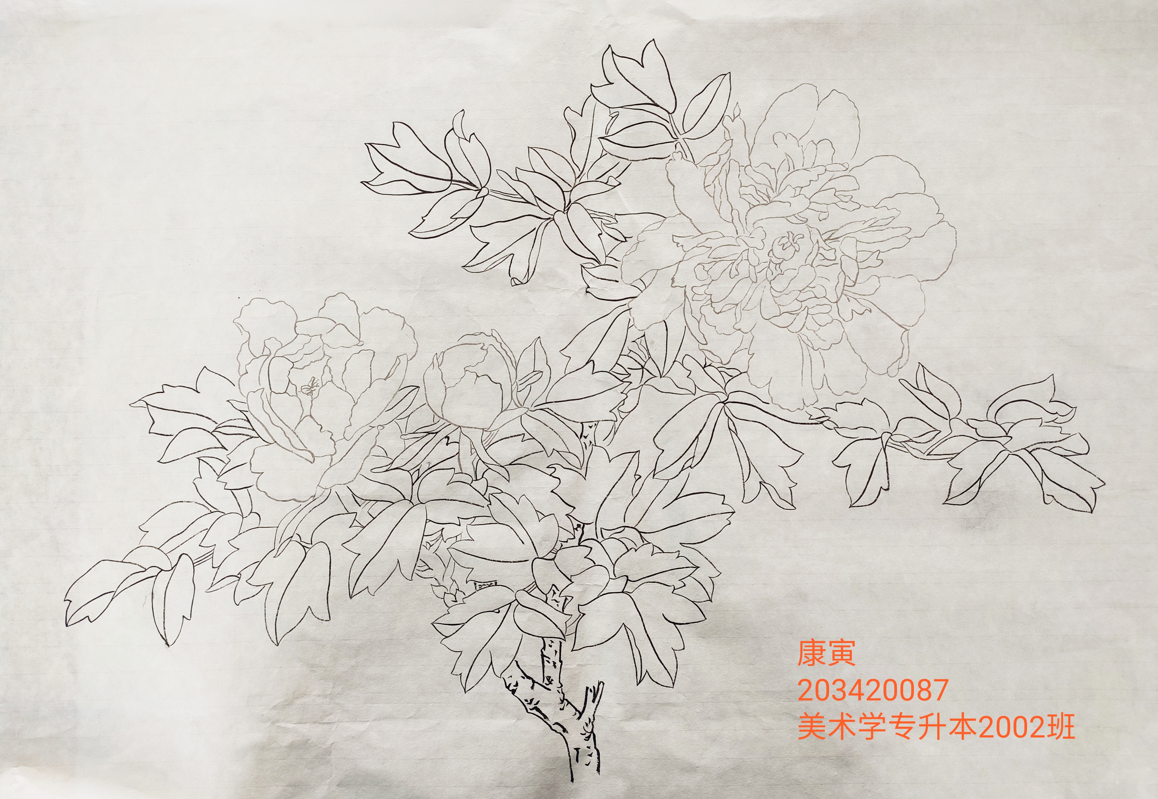 203420087  康寅