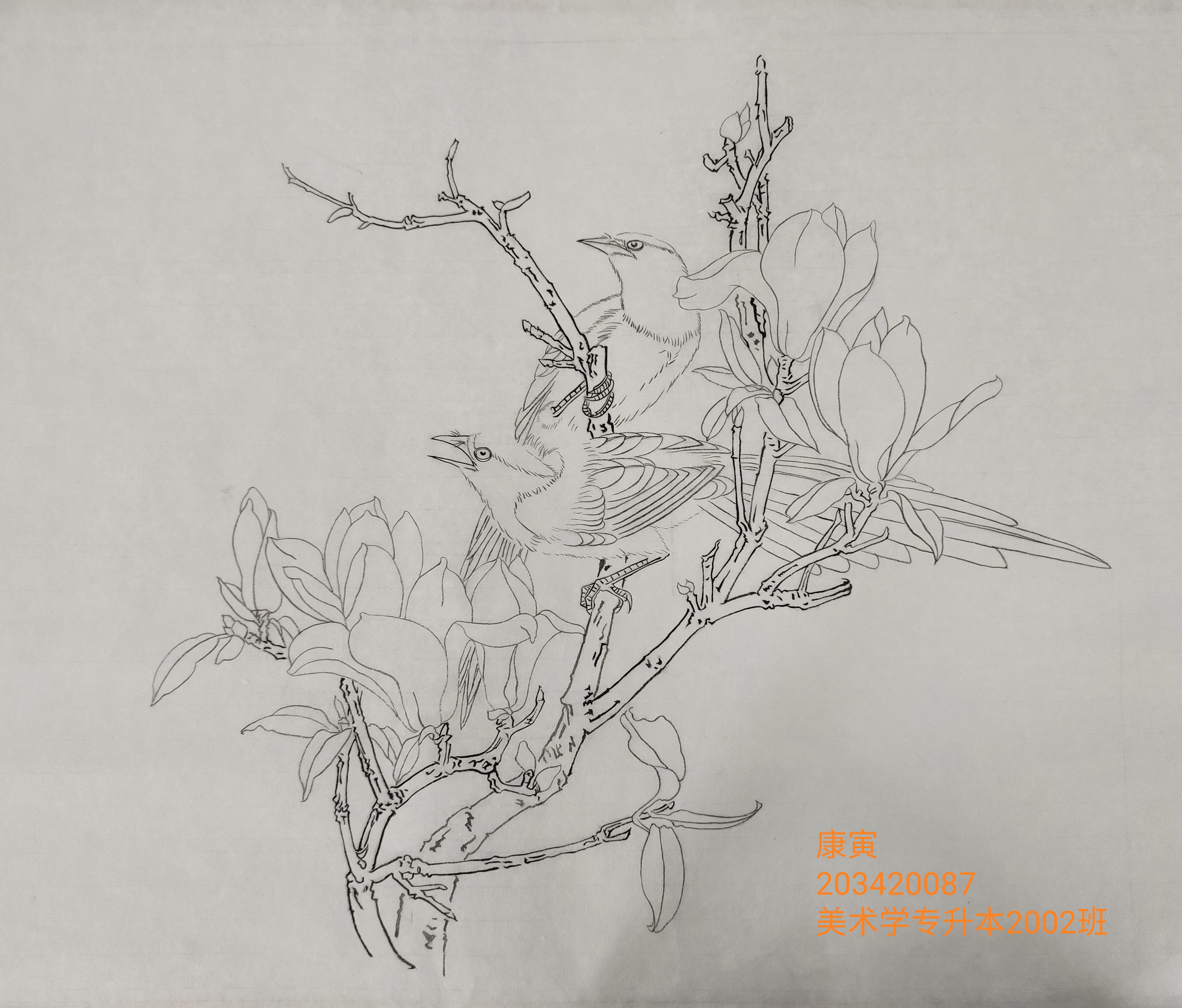 203420087 康寅