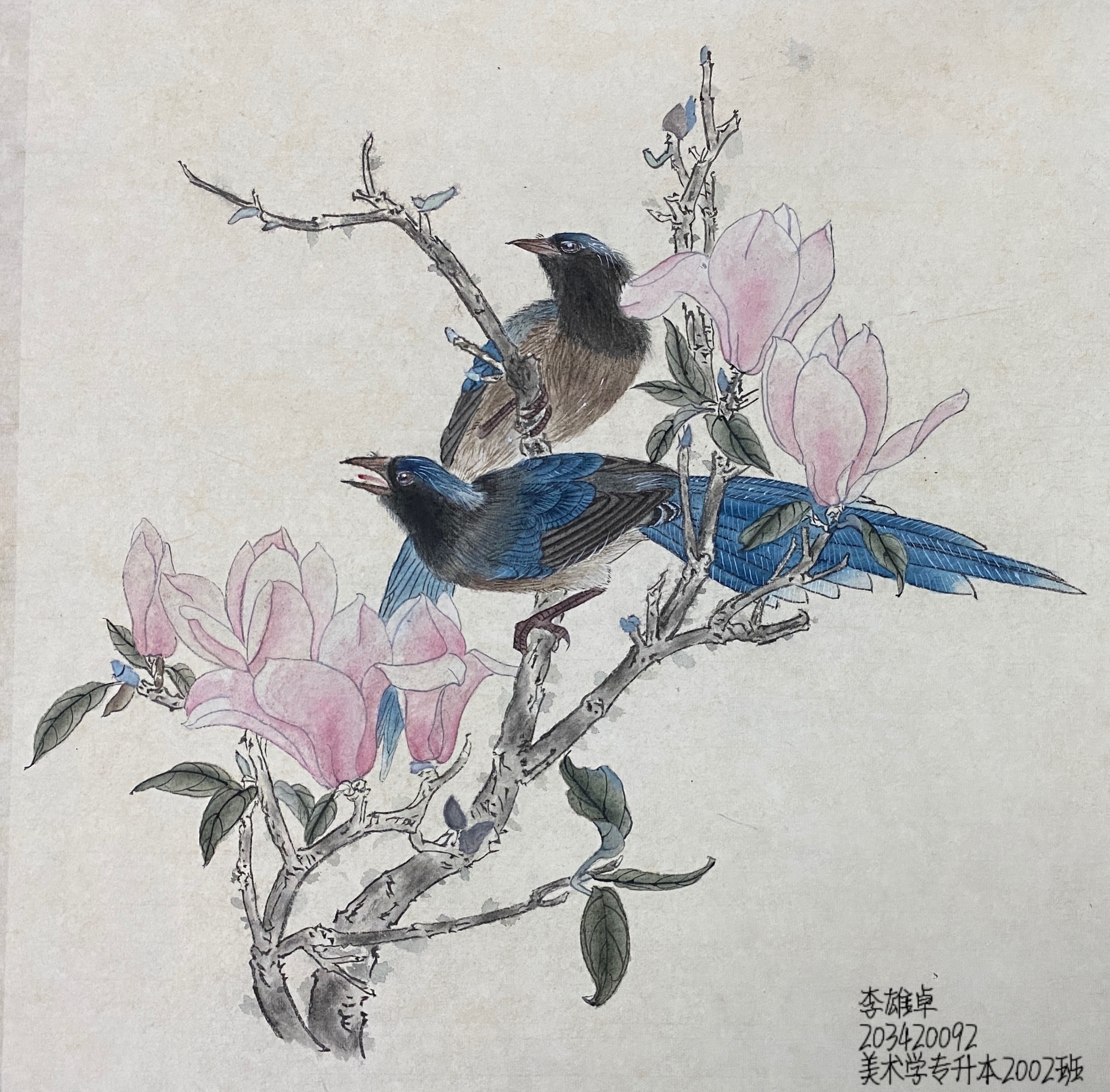 203420093 李雄卓