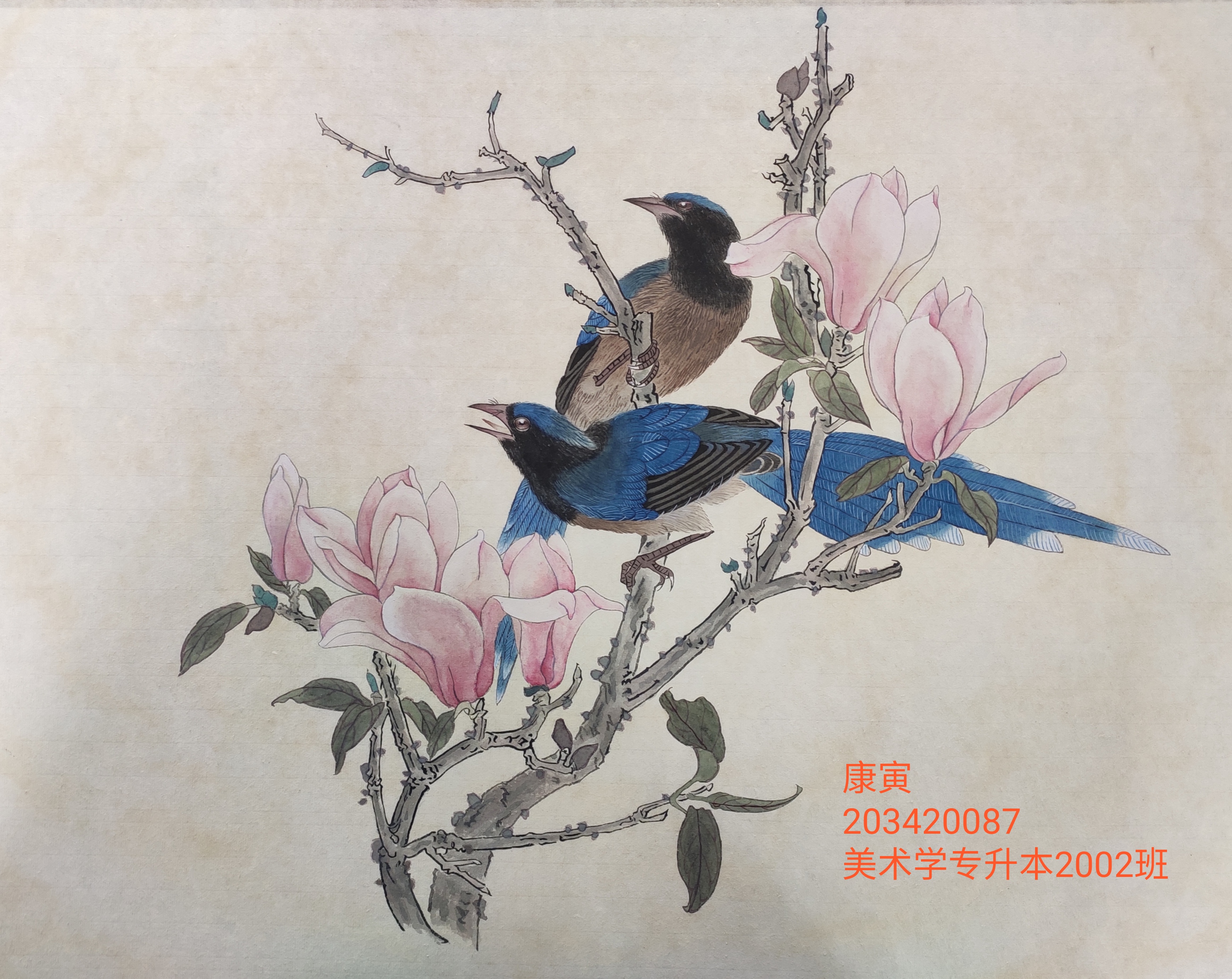 203420087    康寅