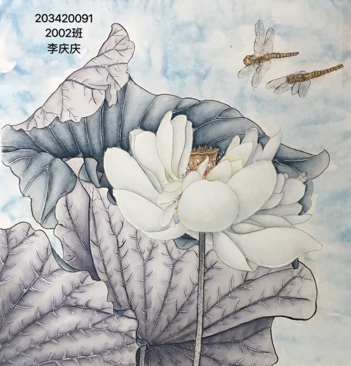203420091 李庆庆