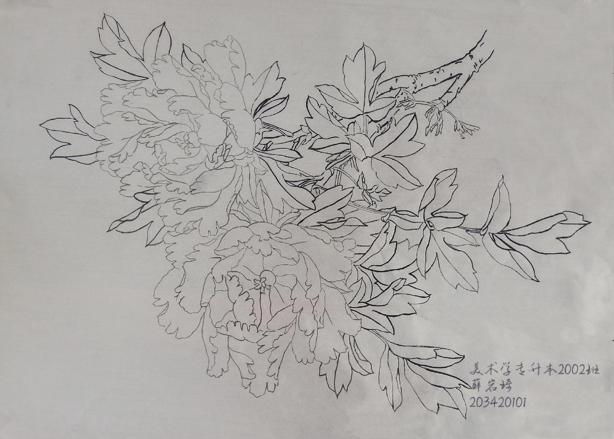 203420101 薛岩琦