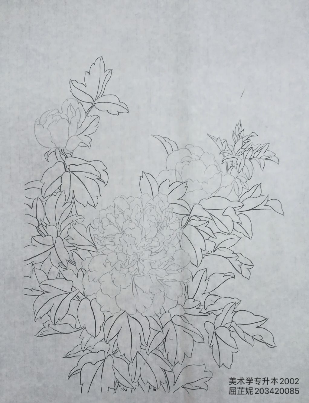 203420085屈芷妮(1)
