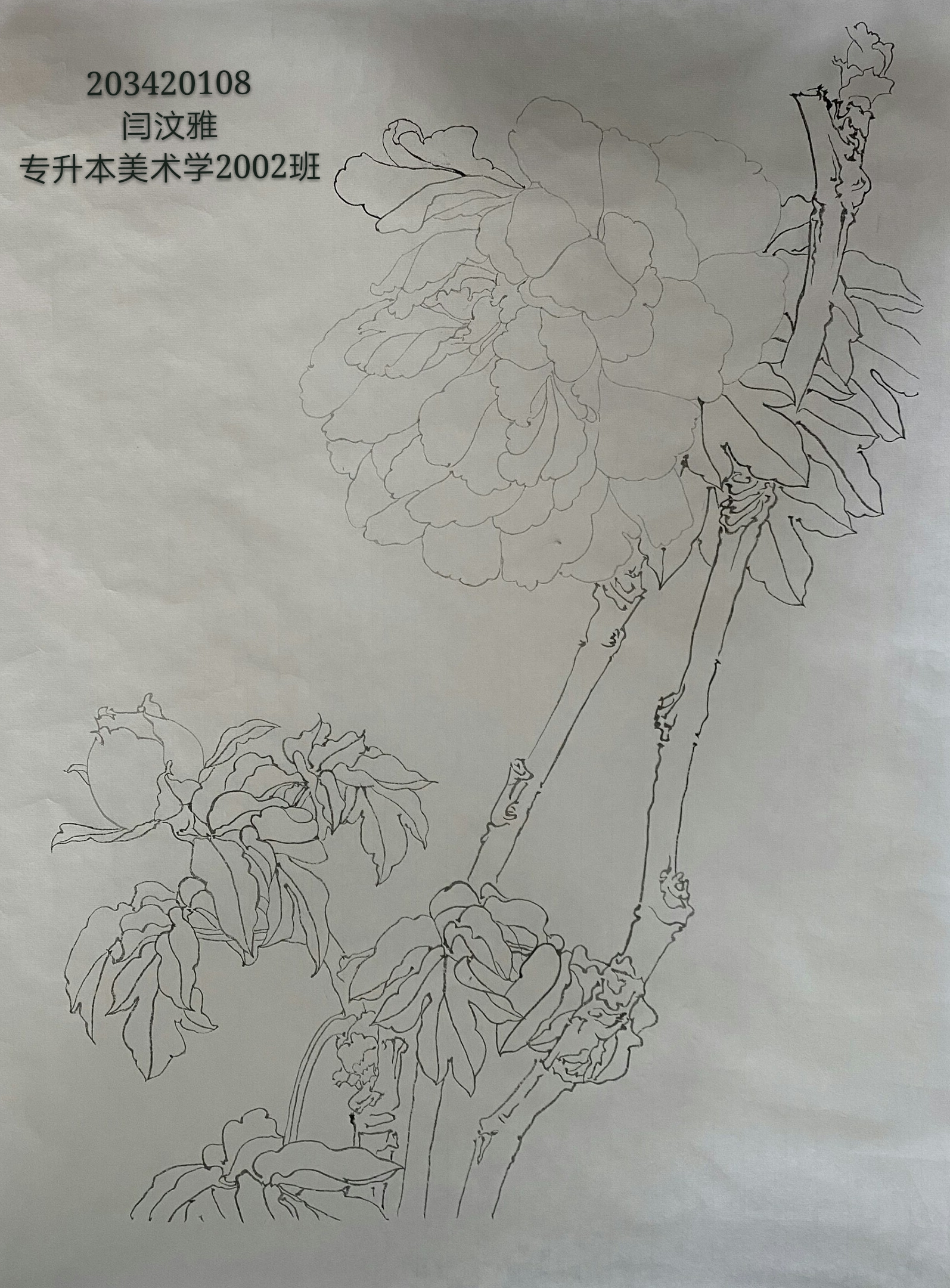 203420108 闫汶雅专升本美术学2002班