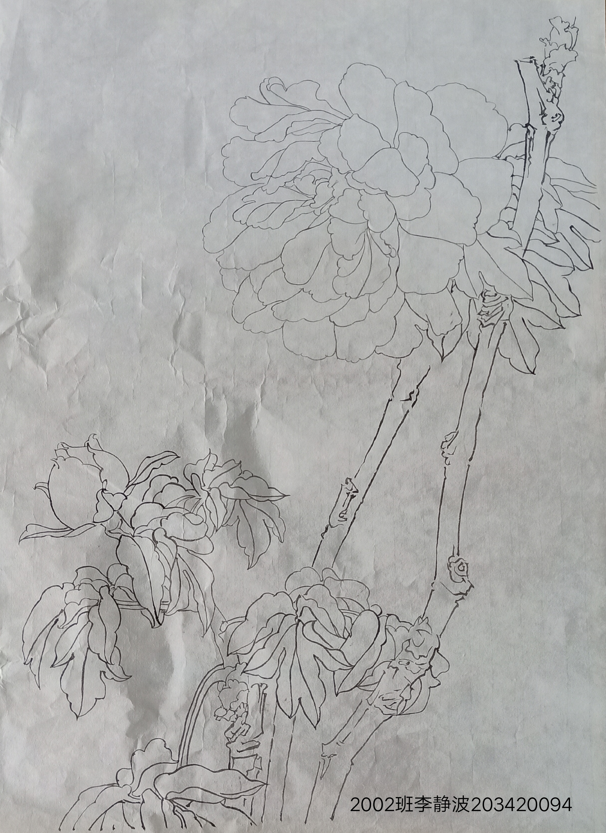 203420094 李静波