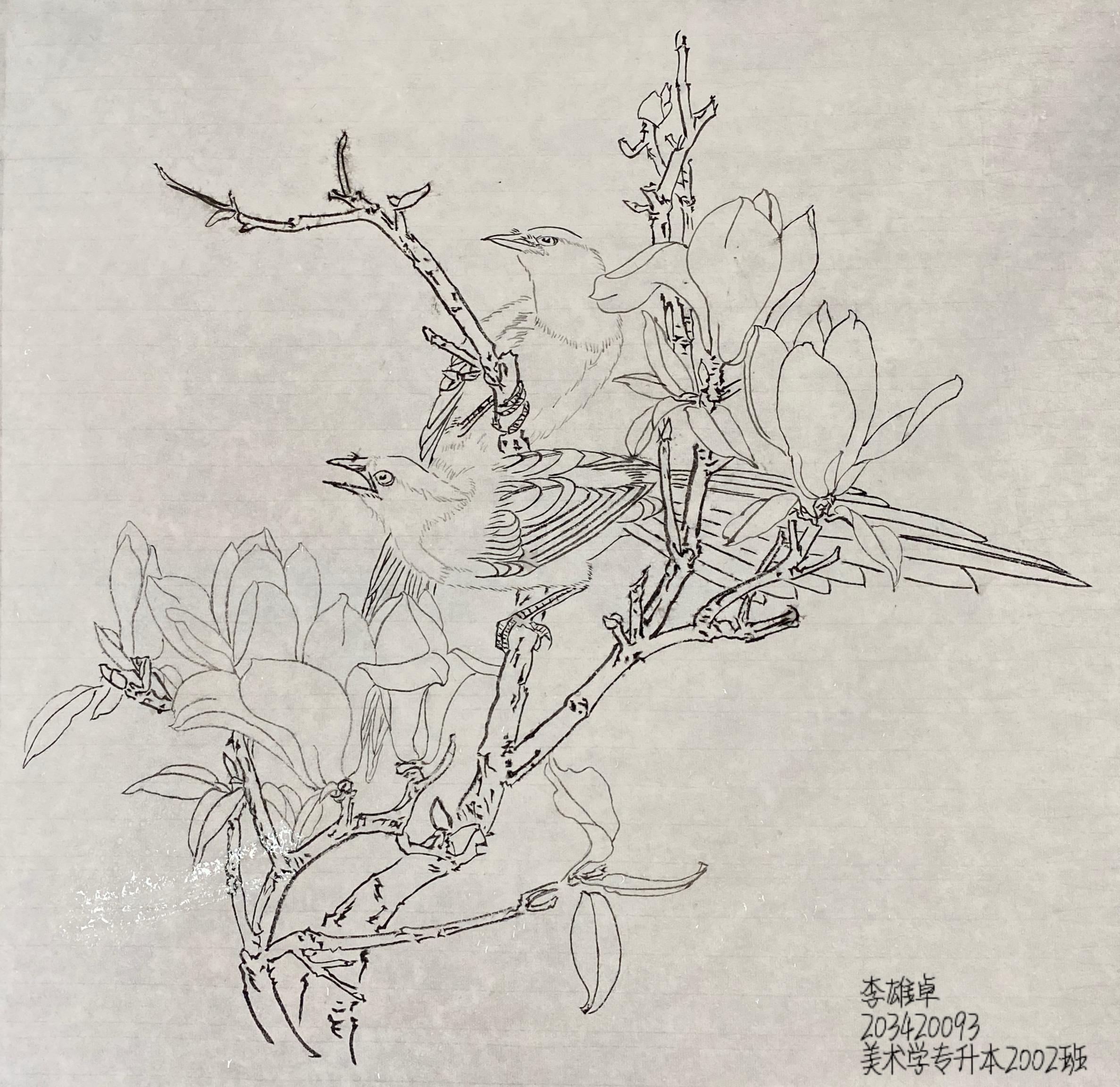 203420093李雄卓