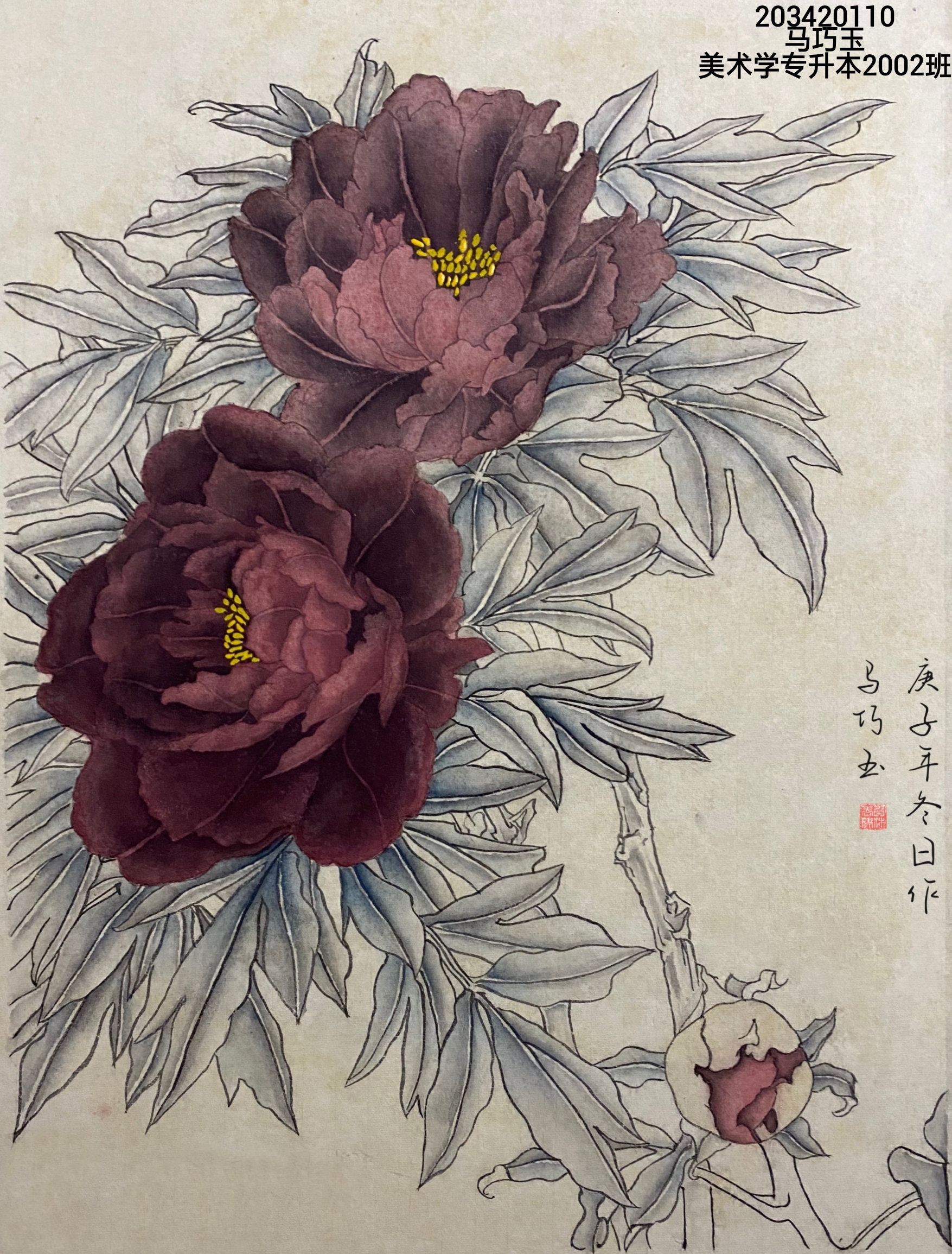 203420110 马巧玉