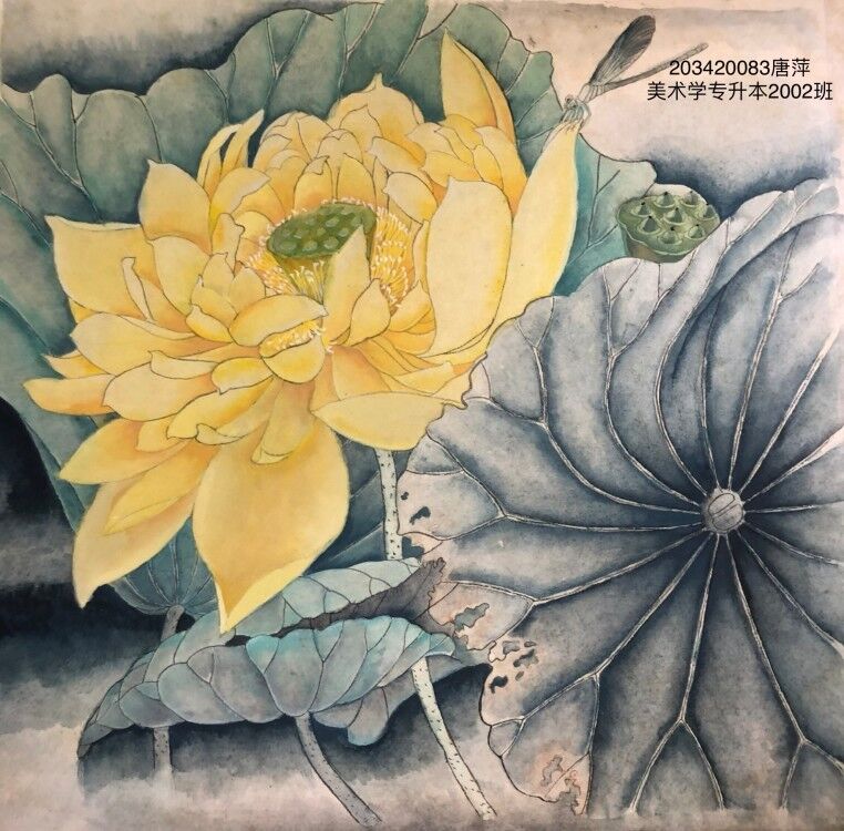203420083唐萍