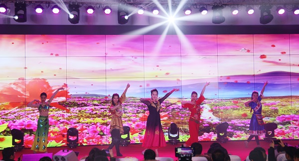 6.舞蹈《民族团结花盛开》.jpg