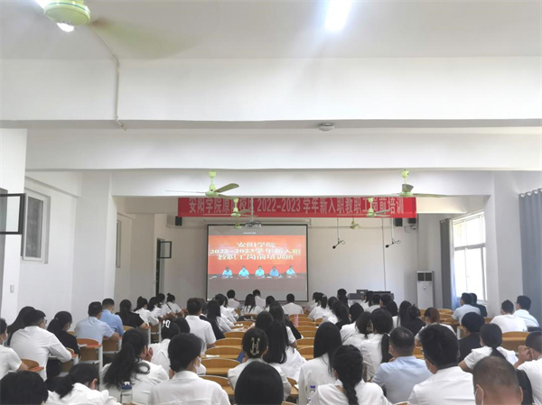 image7.jpg