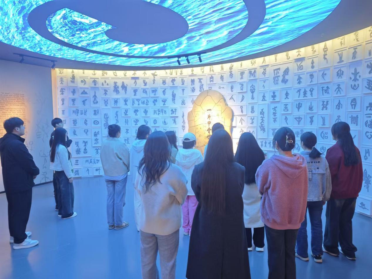 图片 6