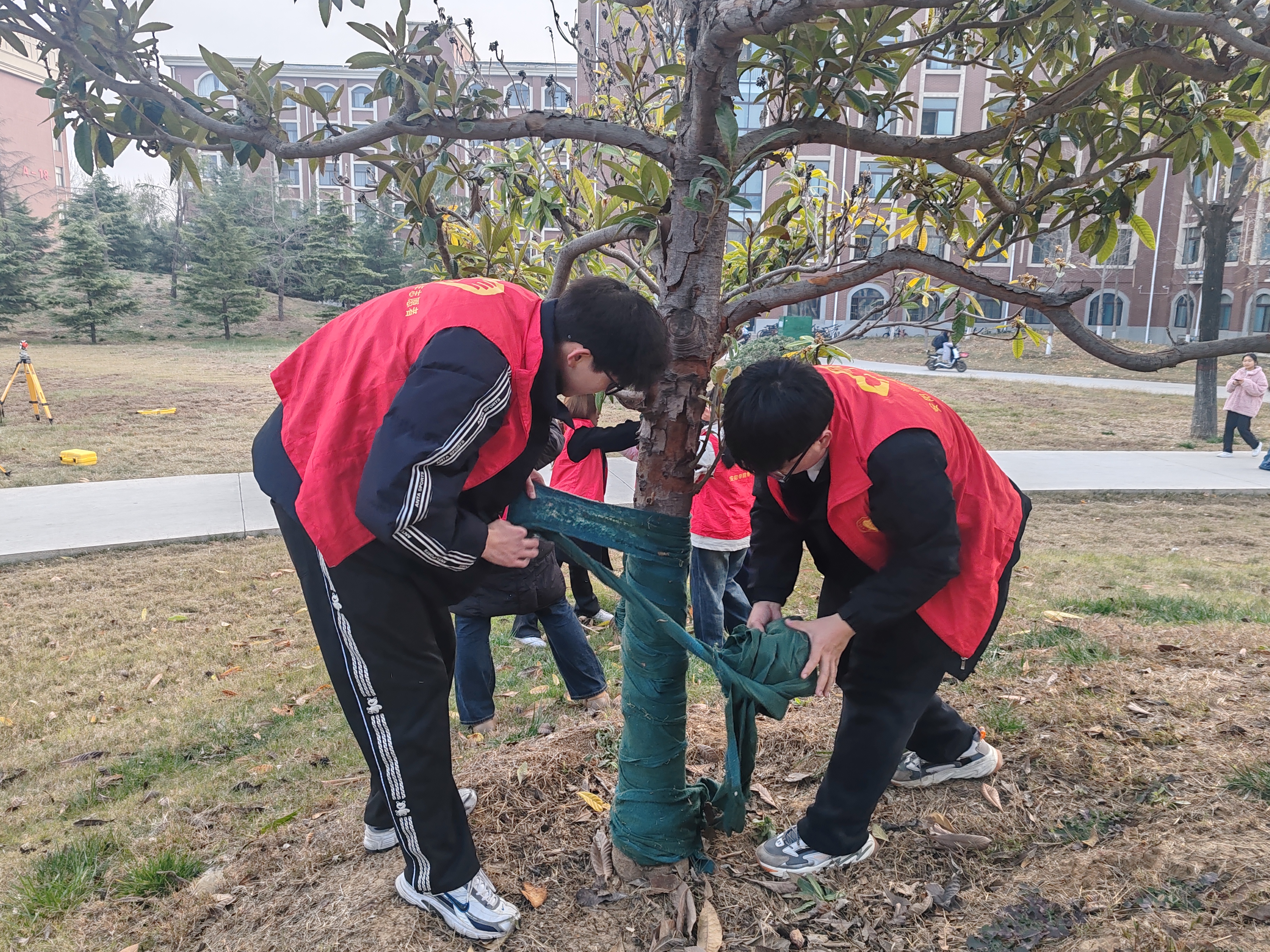 微信图片_20241204165157