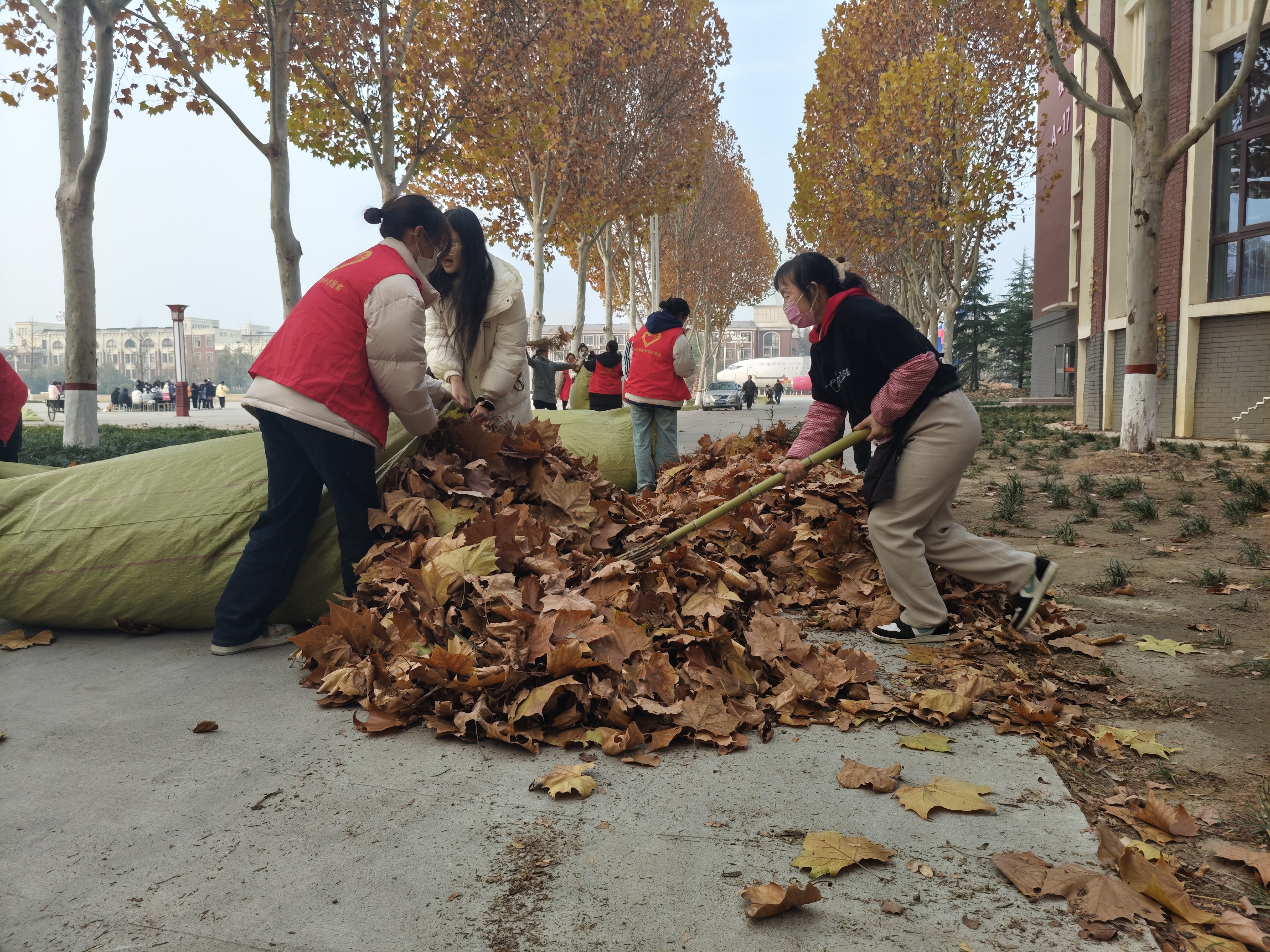 077496480424e9e3482e80ac69697ba