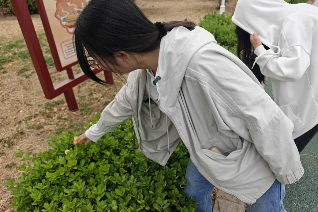 C:/Users/Administrator/Desktop/图片1.png图片1