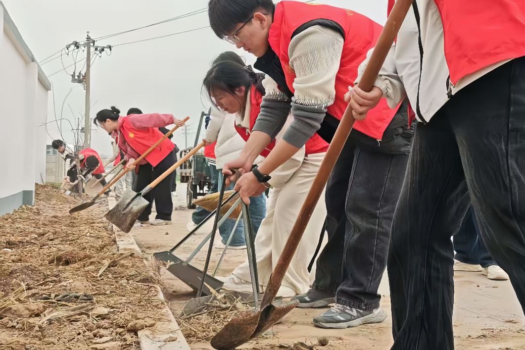 图片 4
