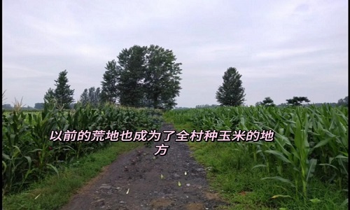 20201223_080221.jpeg